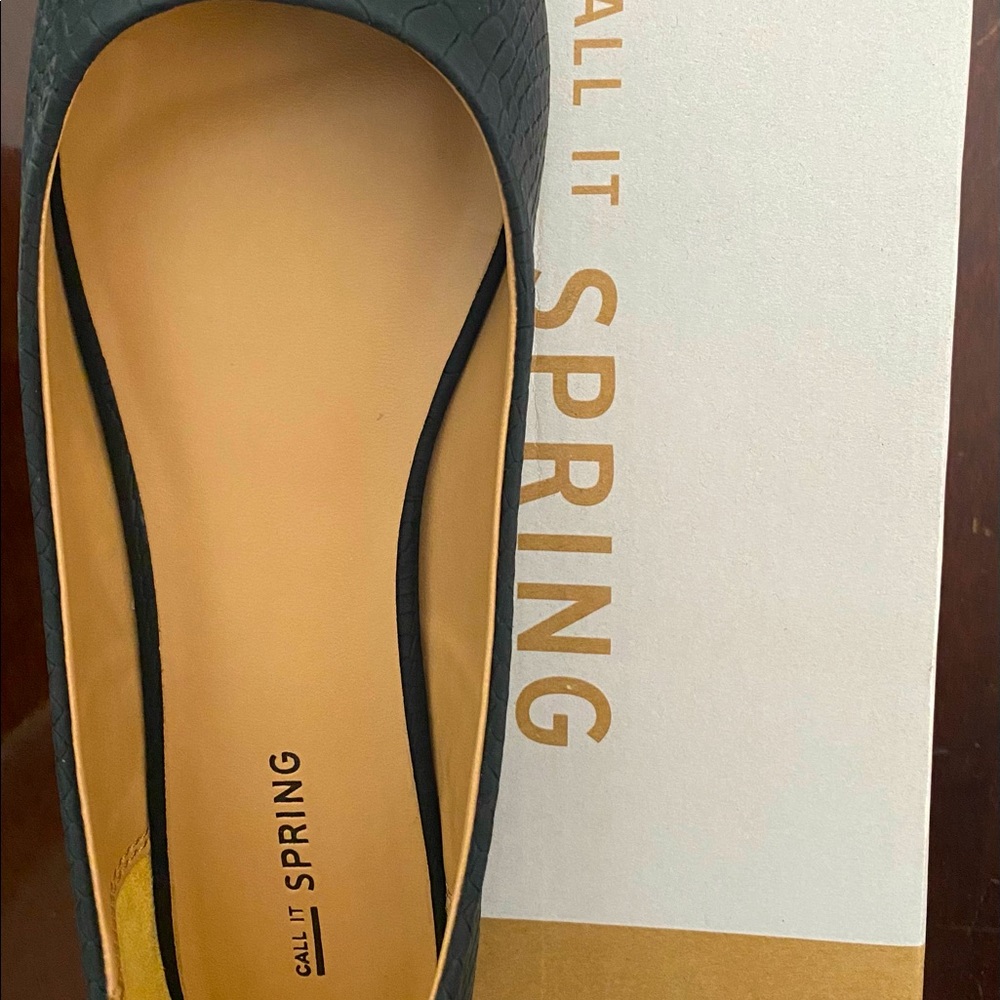 Women’s “Call It Spring” Brevia Ballet flat 8.5